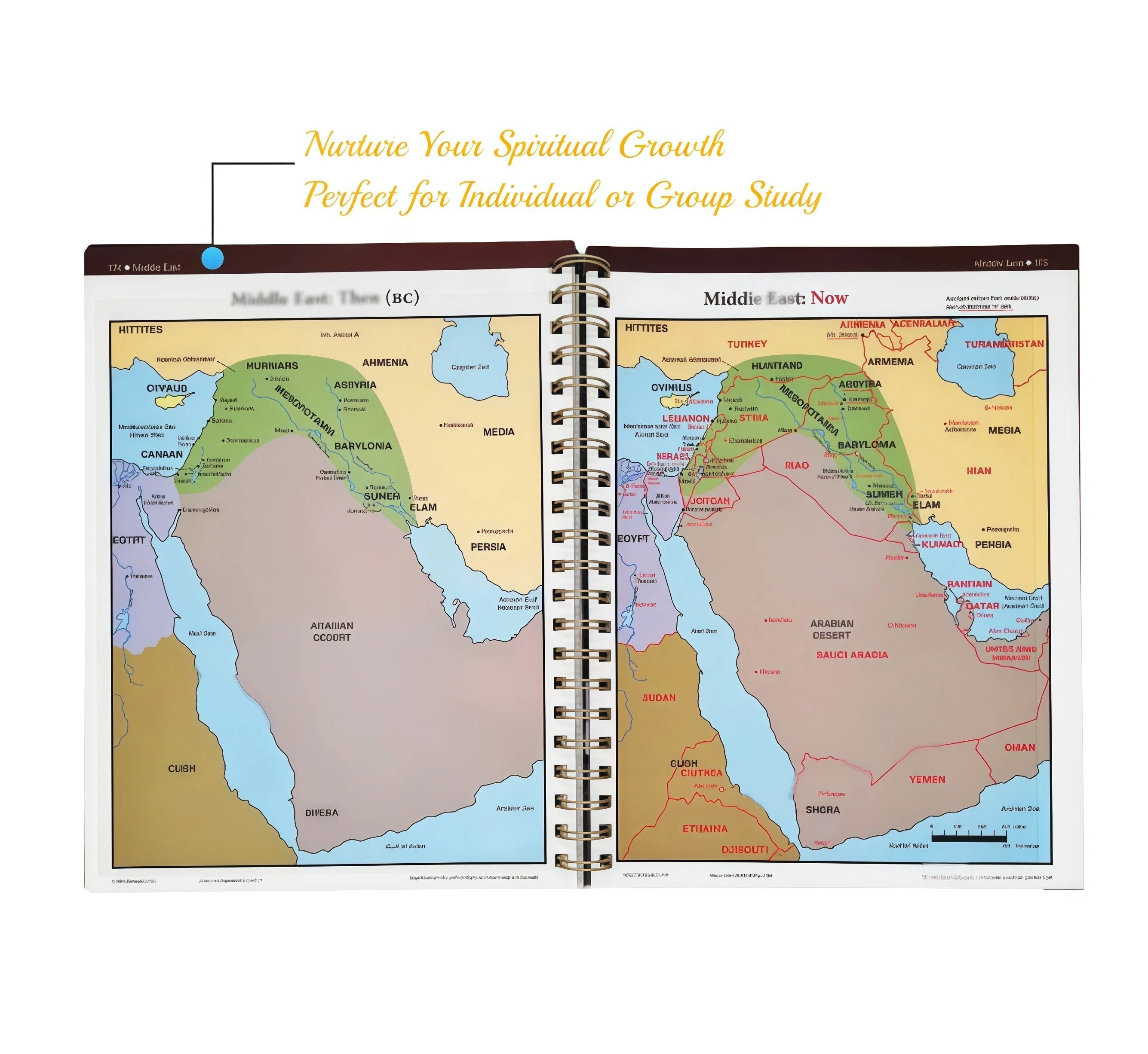 The Book of Bible Charts, Maps, and Time LinesThe ULTIMATE visual Bible resource is here! 230 pages of maps, timelines, and charts on everything: miracles, parables, apostles, feasts, and prophecies.
